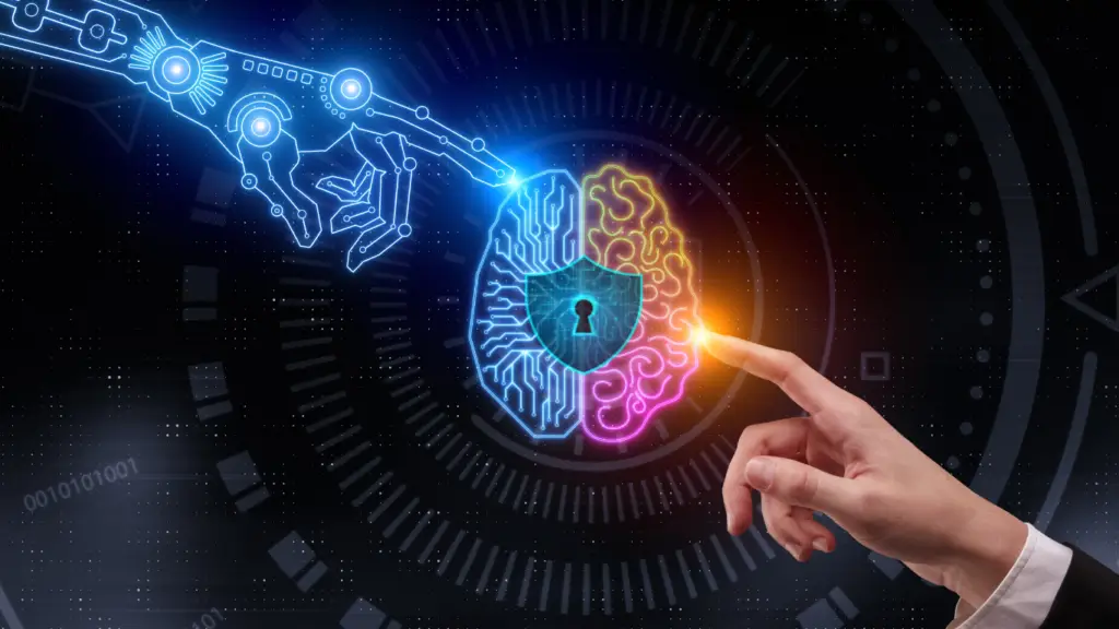 Privacidade em tempos de IA